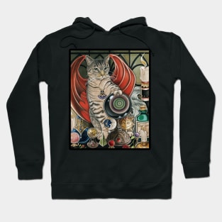 The Witch's Cat Hoodie